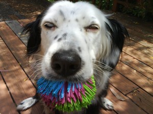 ~2009, her favorite 'ball'