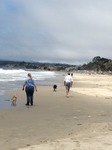 My Dad walking walking Patch, and me walking Clover down the beach
