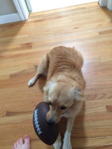 Clover with mini football